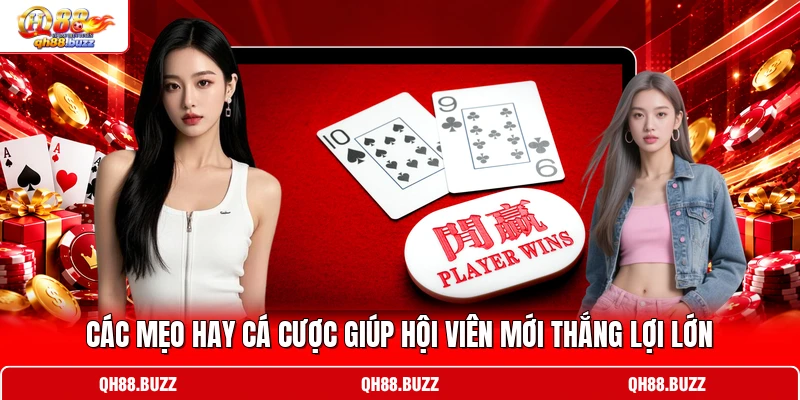 Các mẹo hay cá cược giúp hội viên mới thắng lợi lớn