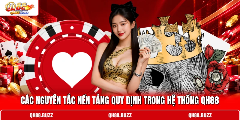 Các nguyên tắc nền tảng quy định trong hệ thống QH88