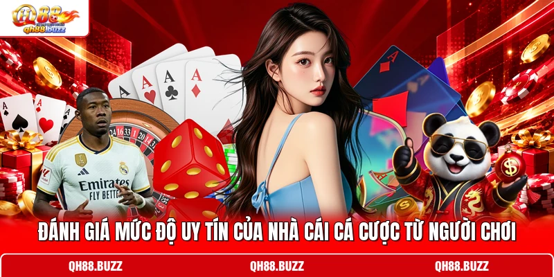 Đánh giá mức độ uy tín của nhà cái cá cược từ người chơi