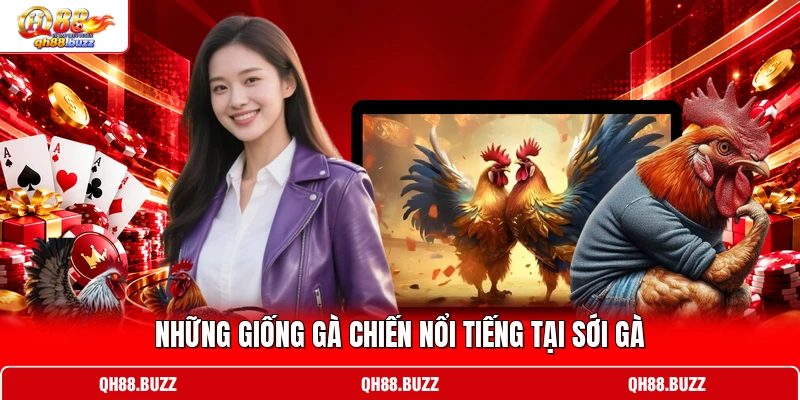 Những giống gà chiến nổi tiếng tại sới gà