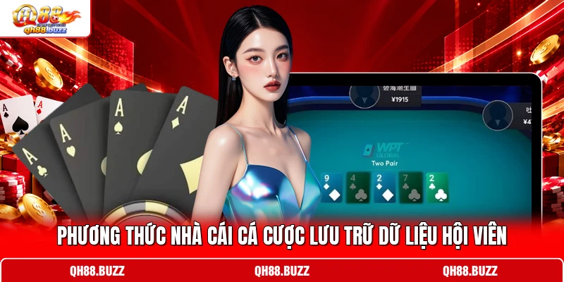 Phương thức nhà cái cá cược lưu trữ dữ liệu hội viên